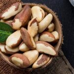 Castanha-do-brasil: cuidados essenciais na sua produção