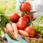 Dicas para manter a saúde da sua horta durante o inverno