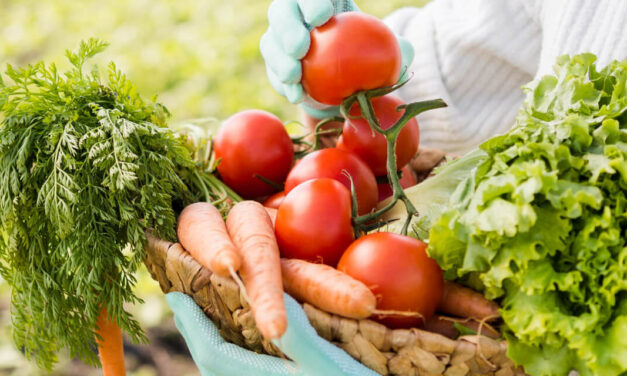 Dicas para manter a saúde da sua horta durante o inverno
