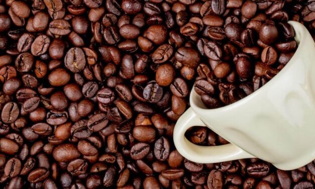 Entenda a diferença entre café gourmet e café tradicional