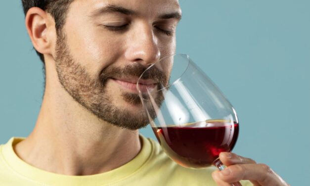 29 de agosto celebra-se o Dia Nacional do Sommelier