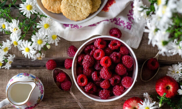 Jornalista apaixonado por gastronomia: seja franqueado do Gastronomia.com.br