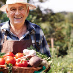 Dia do Fazendeiro: celebrando a agricultura e o campo