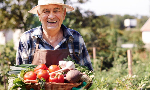 Dia do Fazendeiro: celebrando a agricultura e o campo