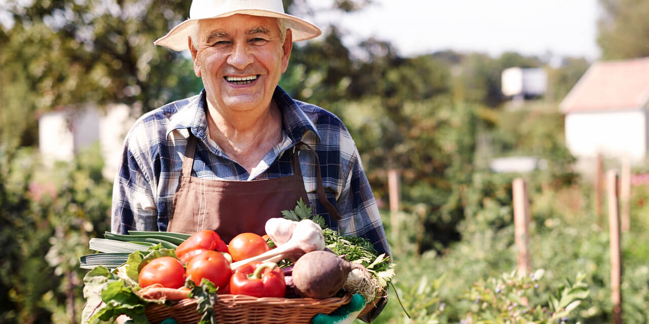 Dia do Fazendeiro: celebrando a agricultura e o campo