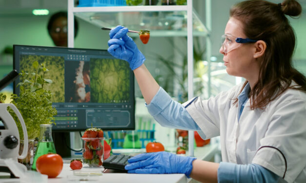 Microbiologia de Alimentos: mantendo a cadeia alimentar segura