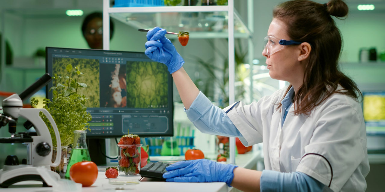 Microbiologia de Alimentos: mantendo a cadeia alimentar segura