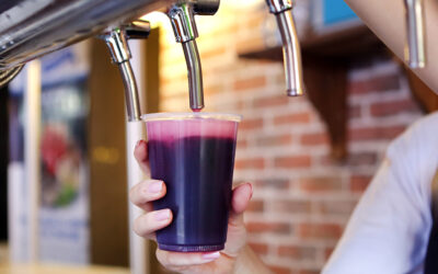 11ª Festa de São Martinho em São Roque ocorre dia 11 de novembro