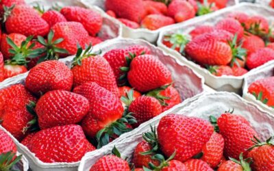 1ª Festa do Morango em São José dos Campos tem entrada gratuita