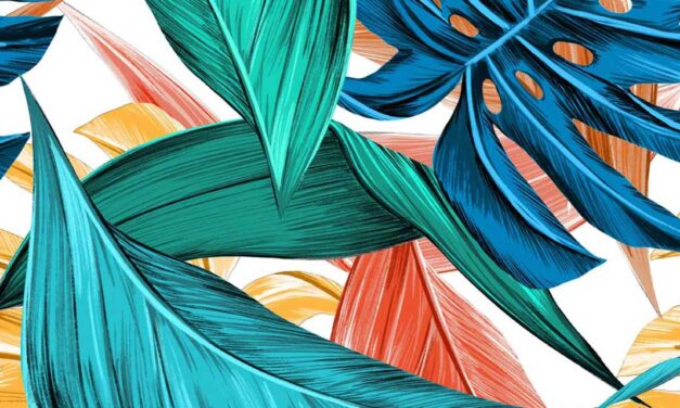 5 sites com desenho para imprimir e colorir