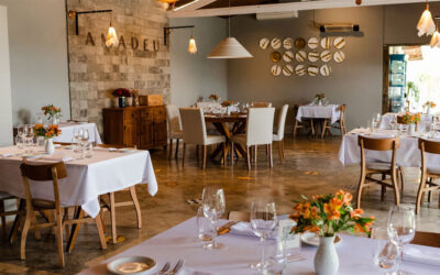 Amadeu Restaurante: um oásis de sabores em Indaiatuba