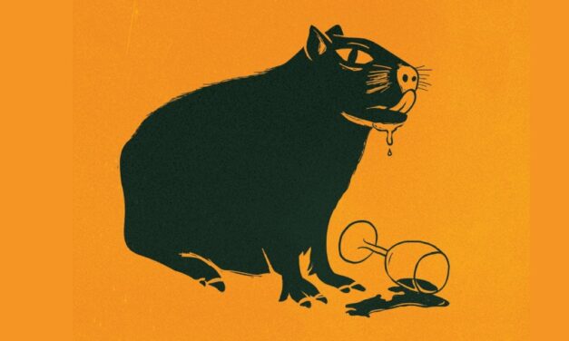 Cerveja Selvagem invade São Paulo nesta semana com eventos e atividades