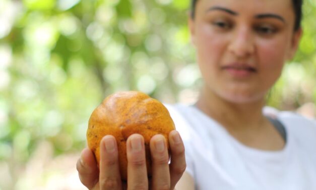 Empreendedora residente em SP celebra prêmio internacional com a Luzz Cacau