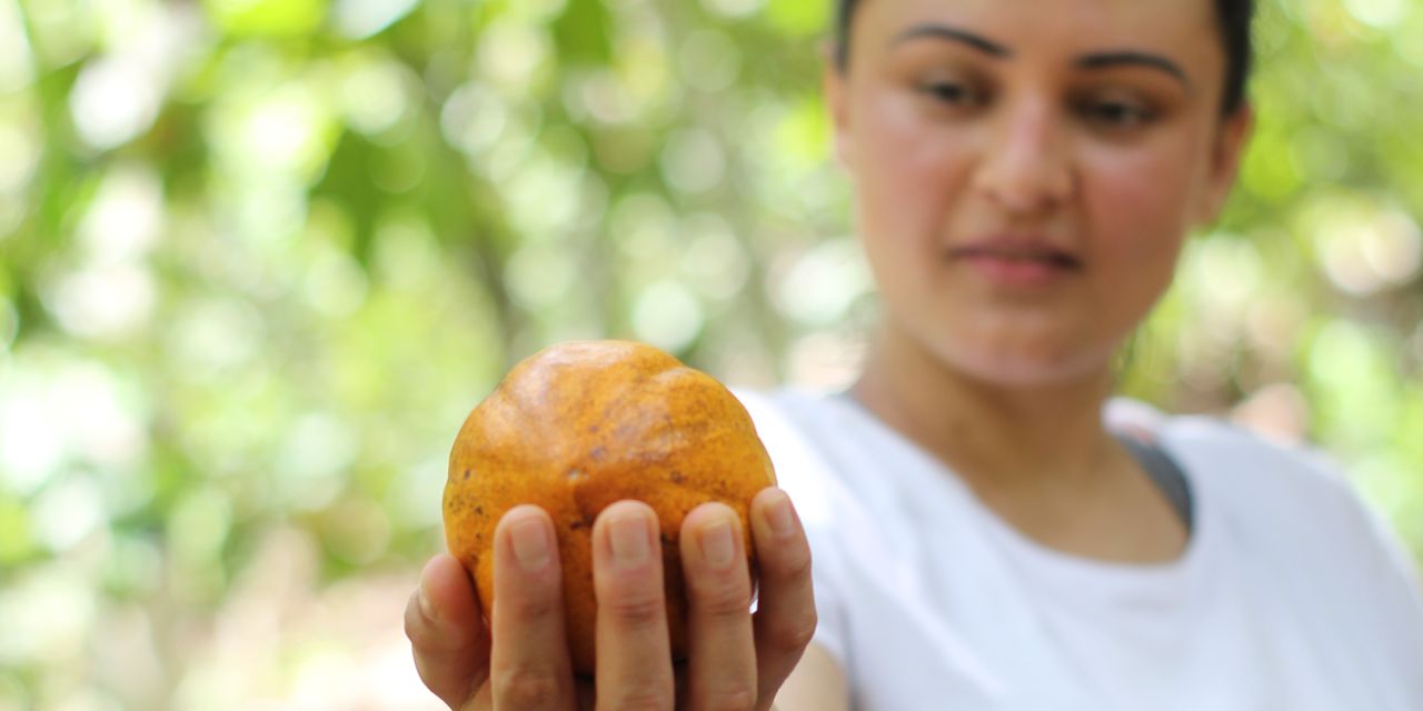 Empreendedora residente em SP celebra prêmio internacional com a Luzz Cacau