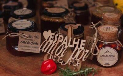 Feira das Ideias leva gastronomia e outras atrações ao MIS no final de semana