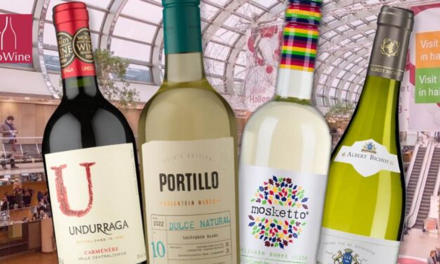 Grupo Wine participará da ProWine São Paulo em outubro