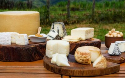 Lançado guia virtual da Rota Turística do Queijo Artesanal Paulista