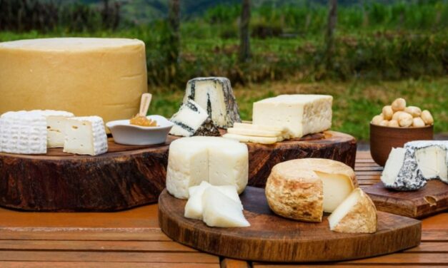 Lançado guia virtual da Rota Turística do Queijo Artesanal Paulista