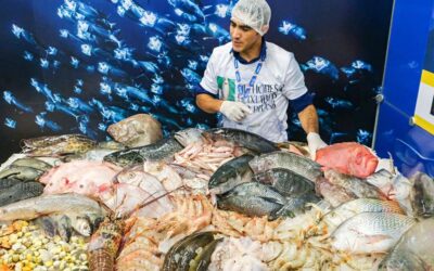 Seafood Show Latin America 2023 tem início dia 24 em São Paulo