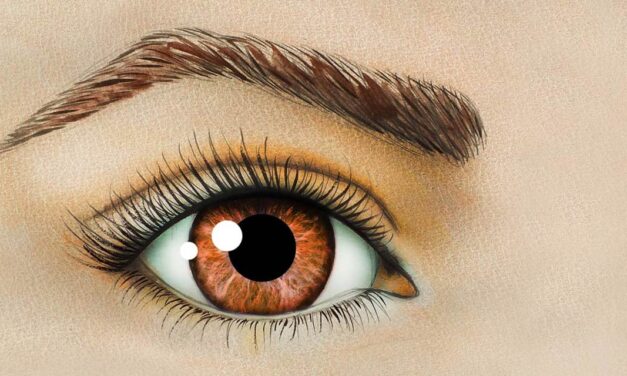 Sobrancelha shadow: conheça tudo sobre a técnica