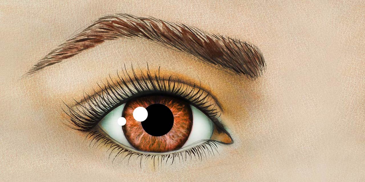 Sobrancelha shadow: conheça tudo sobre a técnica