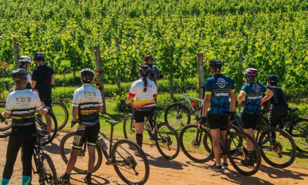 Wine Bike Tour na Vinícola Góes tem nova edição em agosto