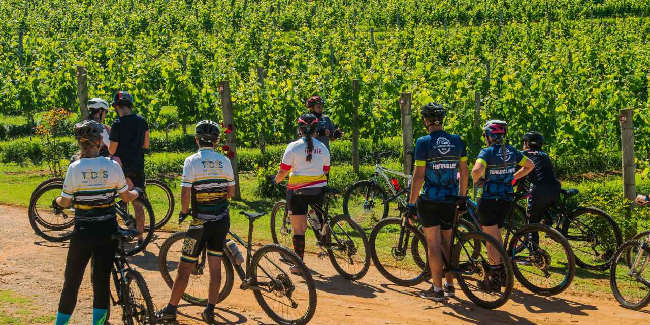 Wine Bike Tour na Vinícola Góes tem nova edição em agosto