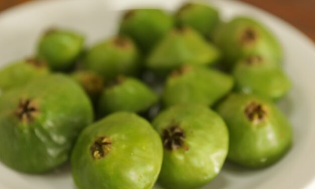 14ª Edição do Festival do Cambuci em Parelheiros acontece neste fim de semana