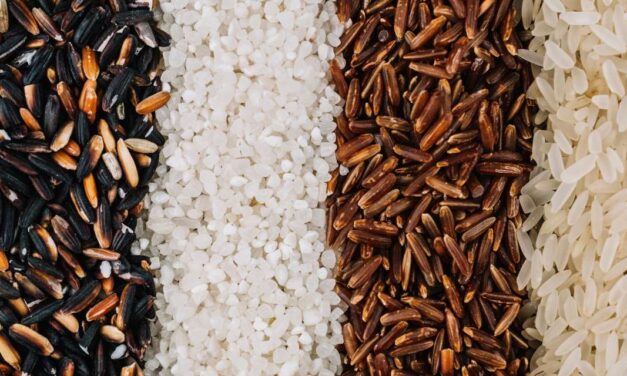 Tipos de arroz: entenda as diferenças entre os grãos