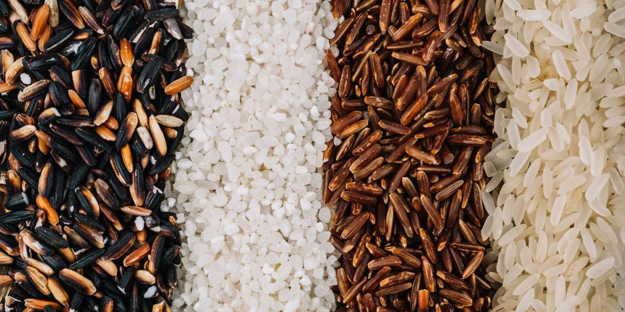 Tipos de arroz: entenda as diferenças entre os grãos