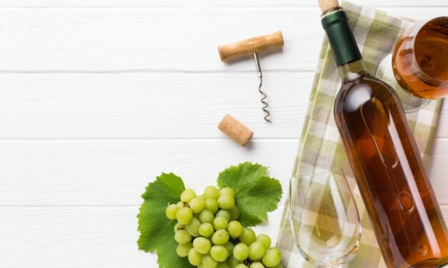 Vinhos veganos: conheça exemplares sem qualquer produto de origem animal
