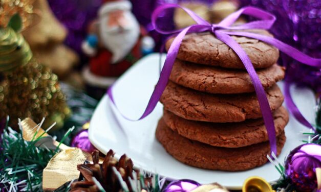 Feira Vegana de Natal em São Paulo ocorre neste fim de semana