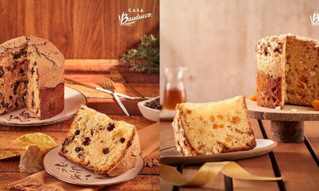 Panettones Casa Bauducco trazem ingredientes inéditos para o Natal 2023