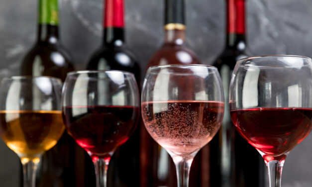 Vinhos brasileiros: país encerra 2023 celebrando 733 premiações