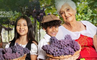 39ª Festa da Uva em Jundiaí tem início nesta quinta