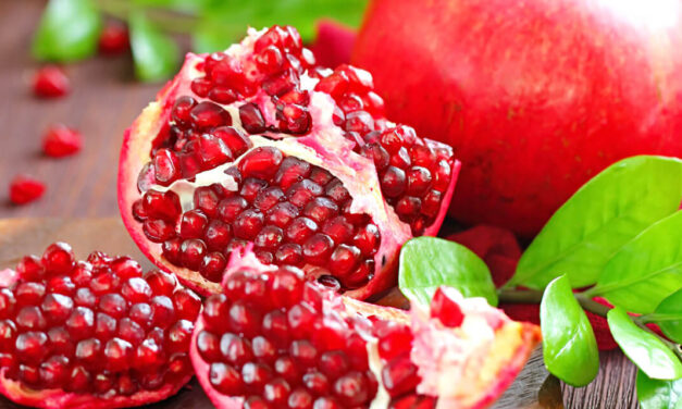 Comida com R: romã, ratatouille, risoto e muito mais