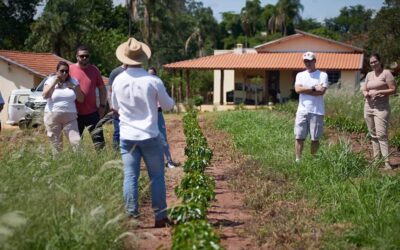 Olinto Café abre portas para o turismo cafeeiro no interior paulista