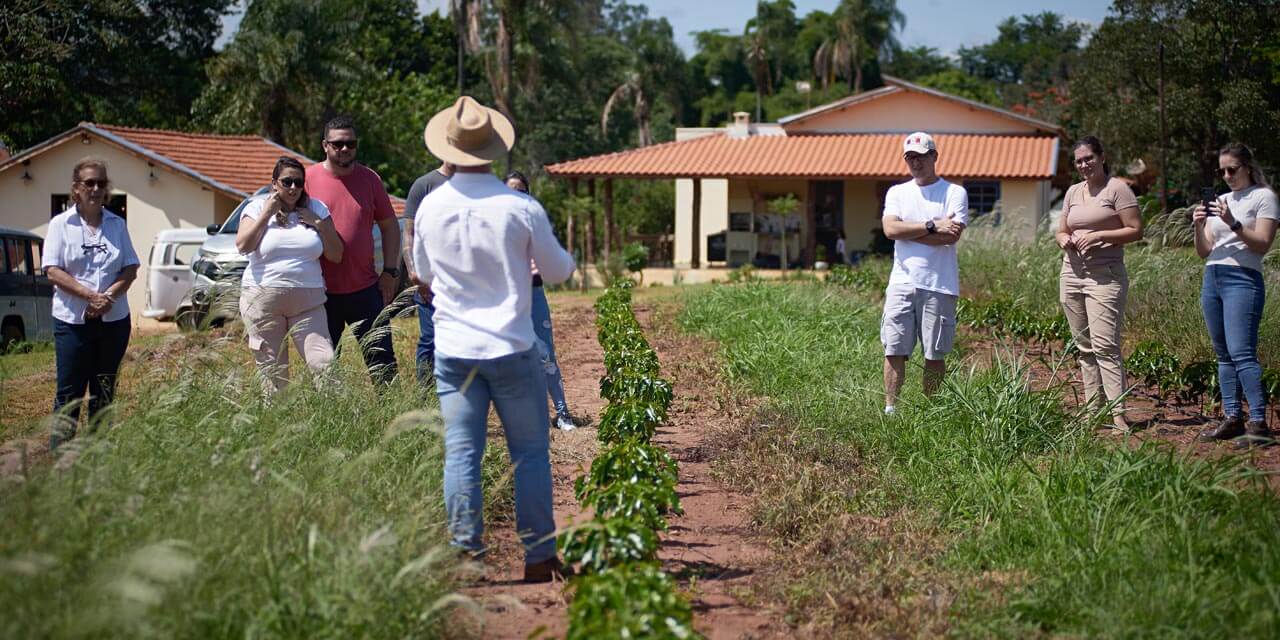 Olinto Café abre portas para o turismo cafeeiro no interior paulista