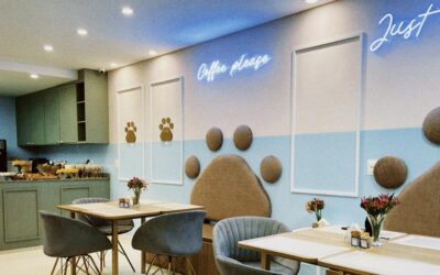 Peteca Pet Park Boutique, em Itajaí, inaugura cafeteria para pets