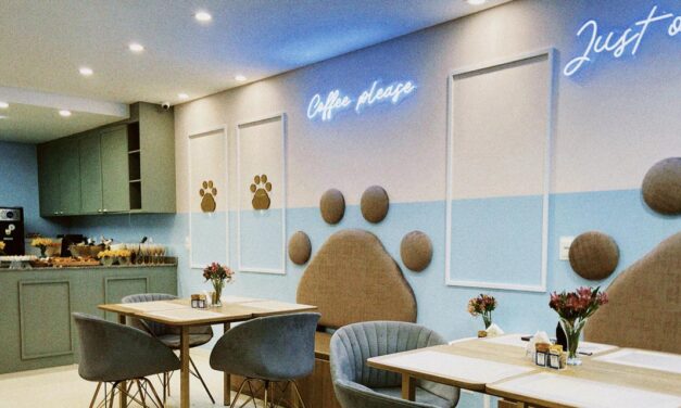 Peteca Pet Park Boutique, em Itajaí, inaugura cafeteria para pets