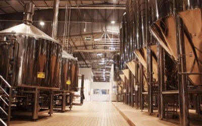 Rota Cervejeira: cervejarias em Joinville viram ponto turístico