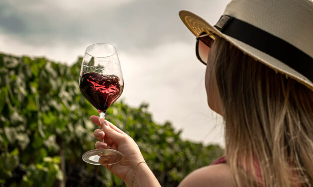 Vindima da Casa Valduga, no Vale dos Vinhedos, acontece em fevereiro