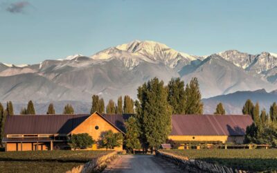 Vinícola Susana Balbo Wines, na Argentina, é opção de enoturismo para férias