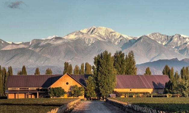 Vinícola Susana Balbo Wines, na Argentina, é opção de enoturismo para férias