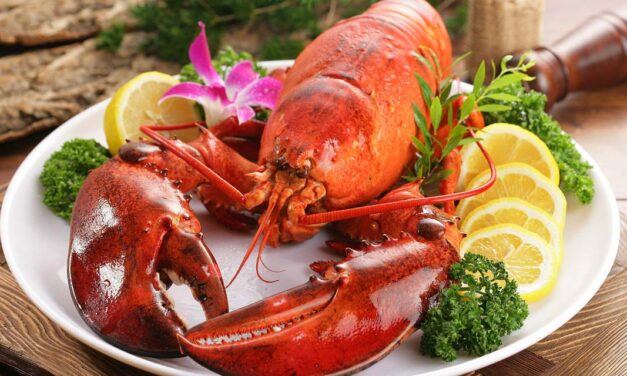 Cor com G: grená, gelo, gengibre e muito mais