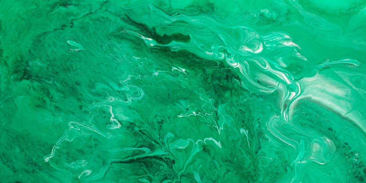 Cor com J: jade, jambo, jacinto e muito mais