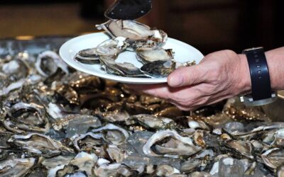 Festival do Pescado tem ostras de volta e ofertas especiais