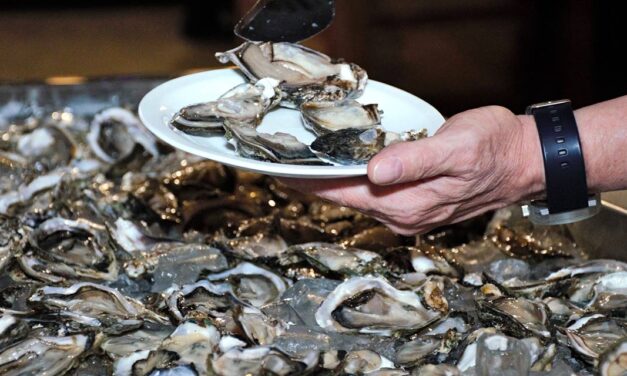 Festival do Pescado tem ostras de volta e ofertas especiais