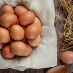 Ovos: o combustível perfeito para o seu cérebro e músculos