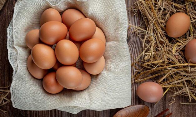 Ovos: o combustível perfeito para o seu cérebro e músculos
